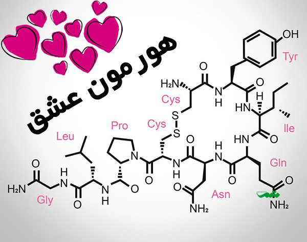 آشنایی با هورمون اکسی توسین.