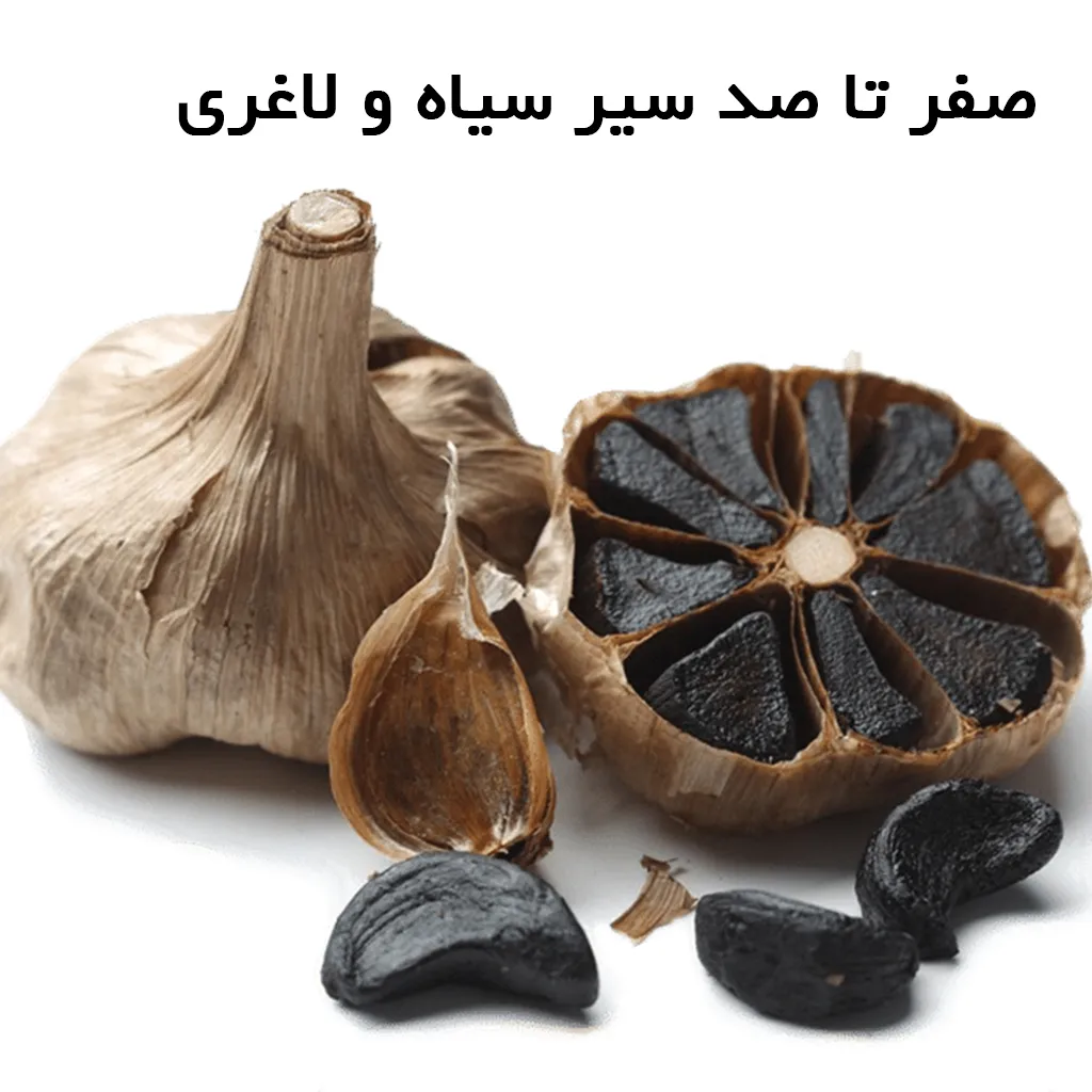 سیر سیاه چیست ؟