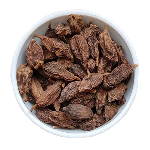 هلباد