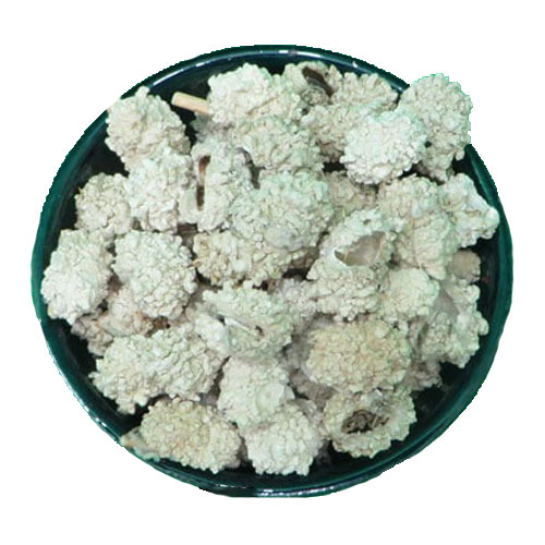 شکرتیغال