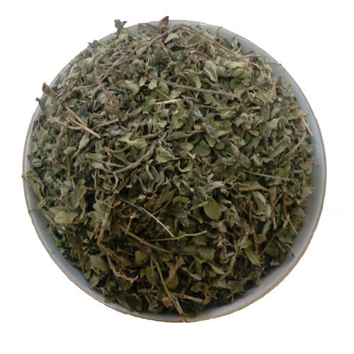 زرین گیاه