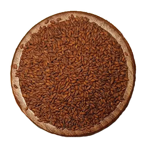 تخم شاهی