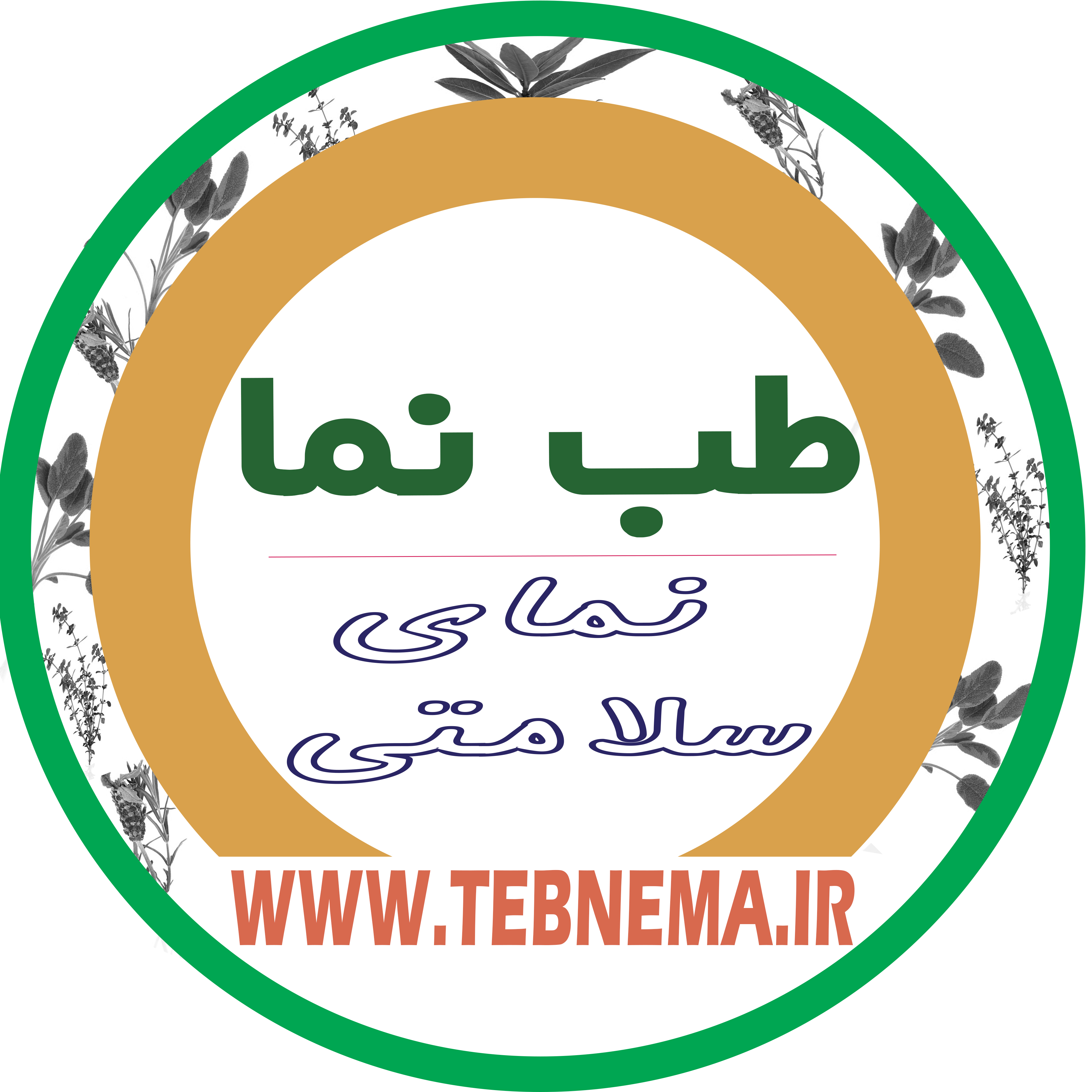 ریشه اریسا 100 گرم