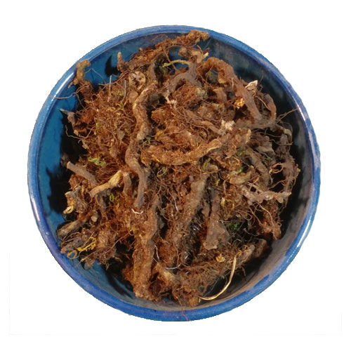 بسفایج
