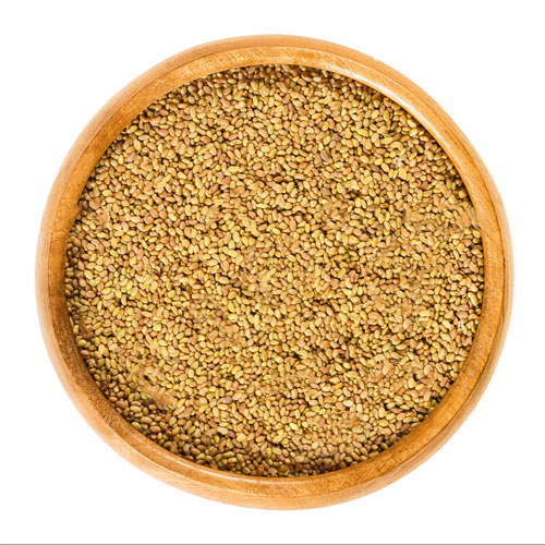 بذر یونجه