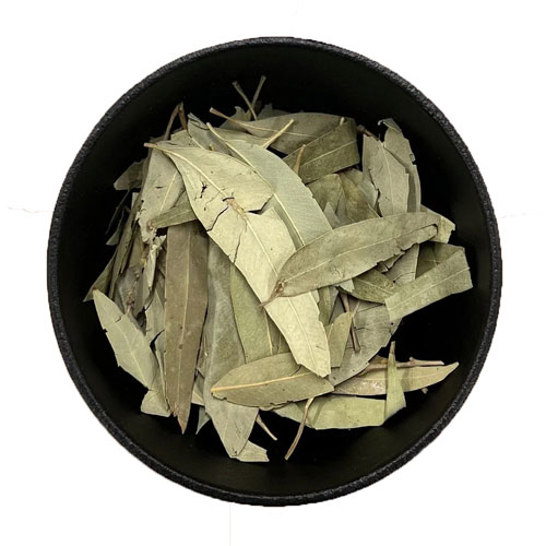 اکالیپتوس