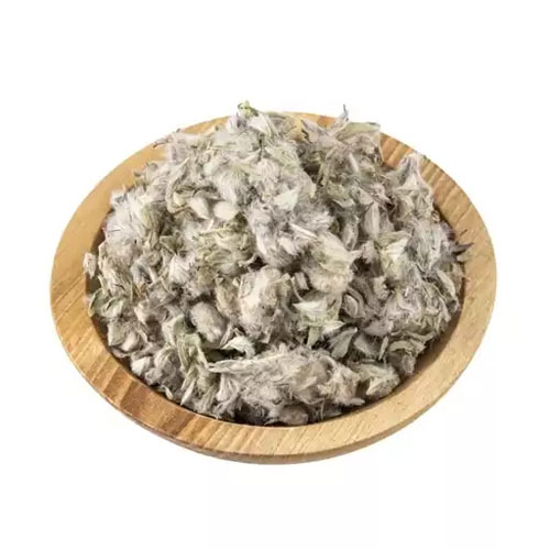 چای کوهی