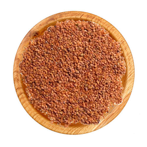 قدومه دختر - قدومه شیرازی