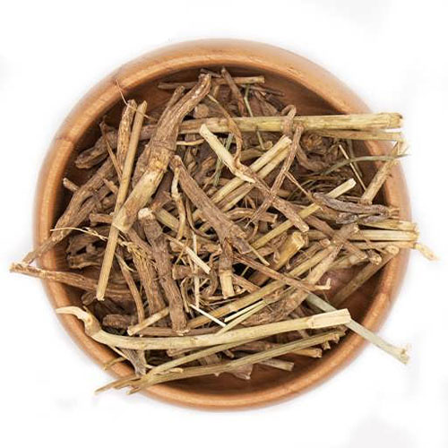 کاسنی