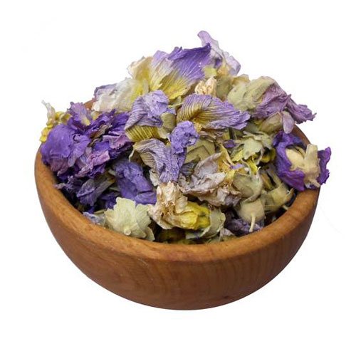 گل ختمی رنگی